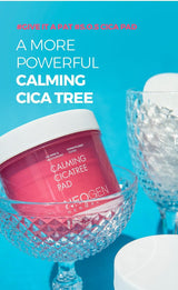 DERMALOGY CALMING CICA TREE PAD 150ML (90 PADS)