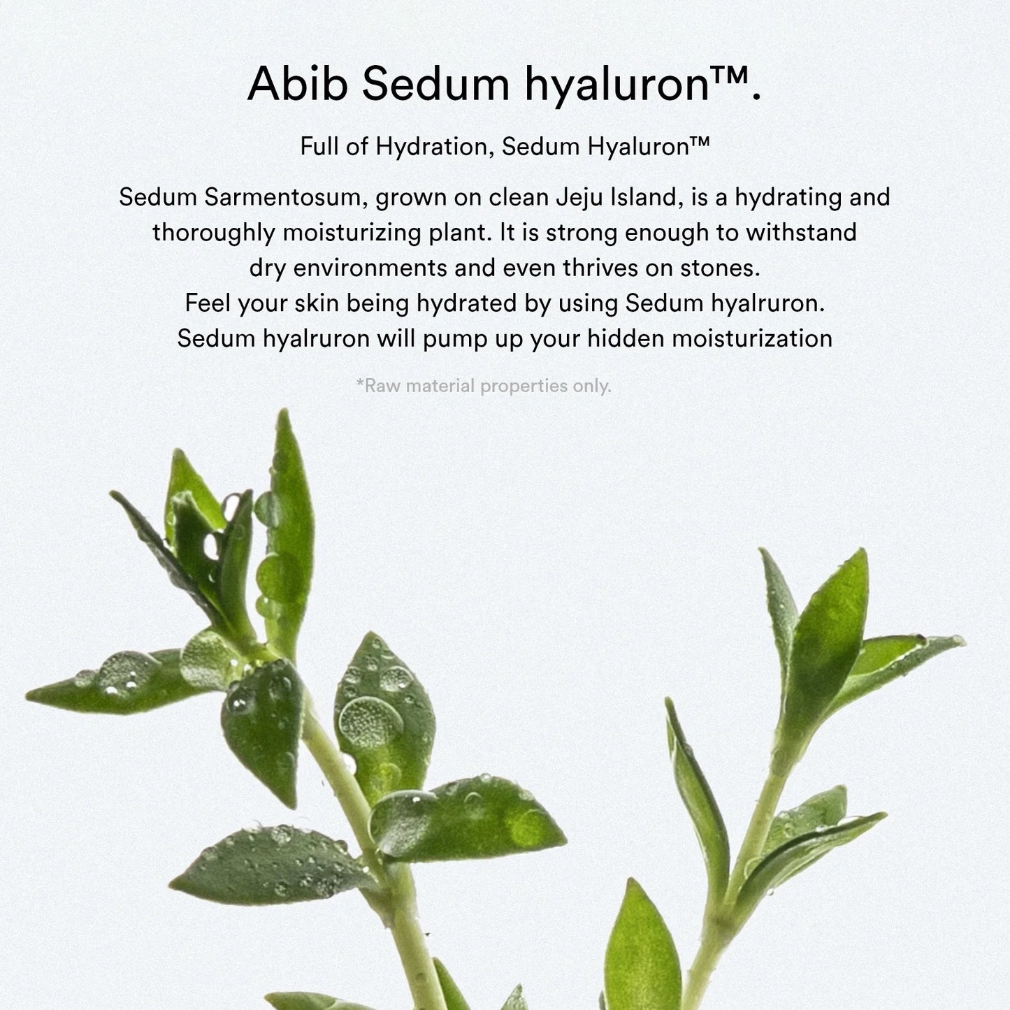 Sedum hyaluron pad Hydrating touch - 165ml. 75 pads