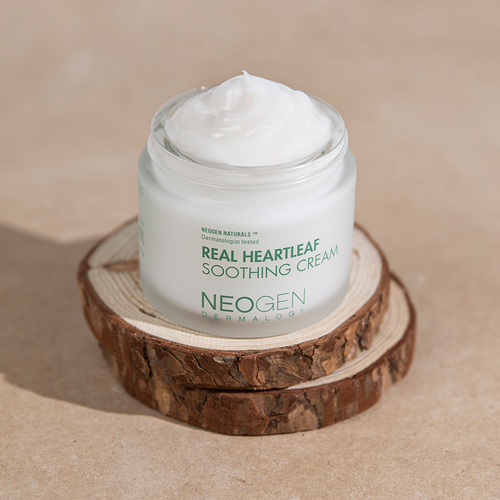 Dermalogy Real Heartleaf Soothing Cream 80g