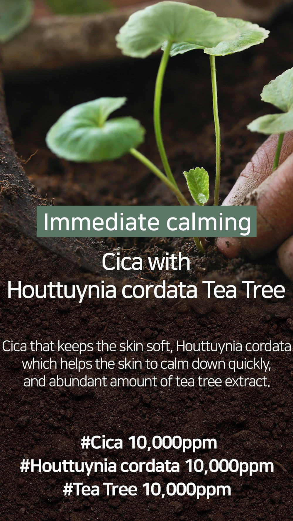 [Mary&May] Mascarilla Calmante CICA Houttuynia Tea Tree 30 unidades/400 g