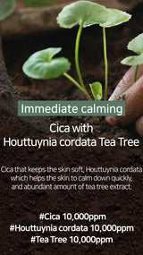 [Mary&May] Mascarilla Calmante CICA Houttuynia Tea Tree 30 unidades/400 g