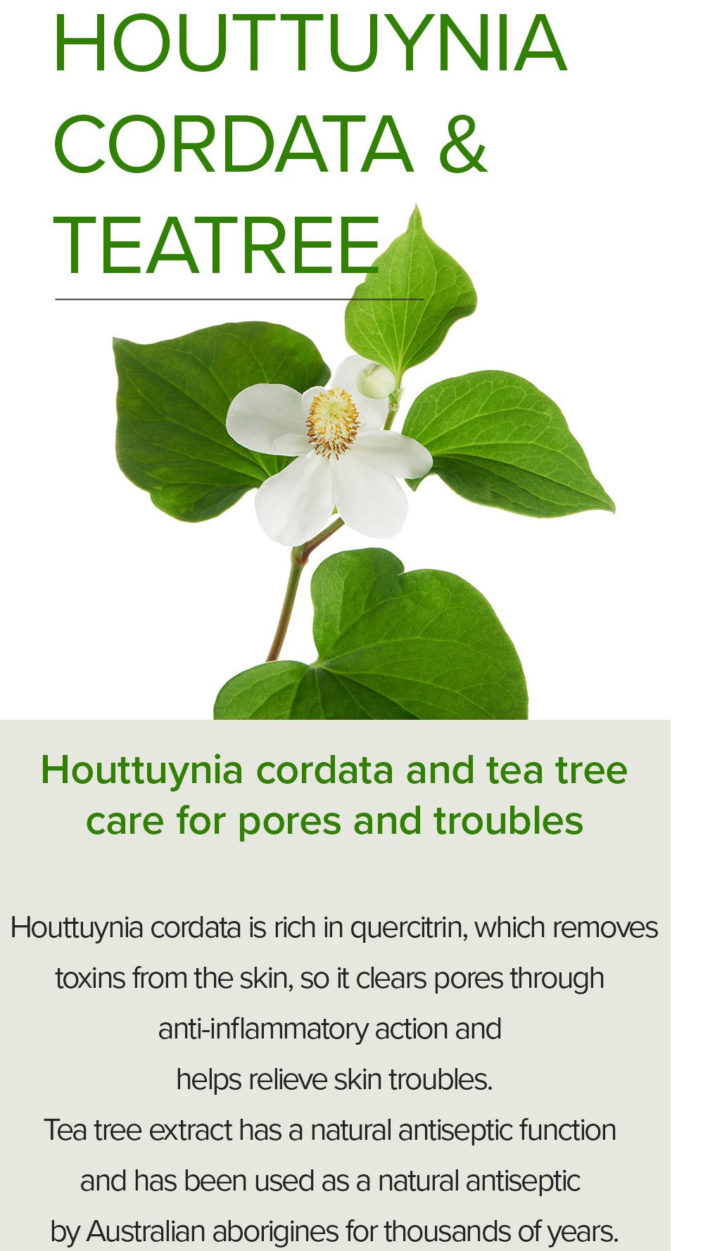 [Mary&May] Suero de Houttuynia Cordata + Árbol de Té - 30ml