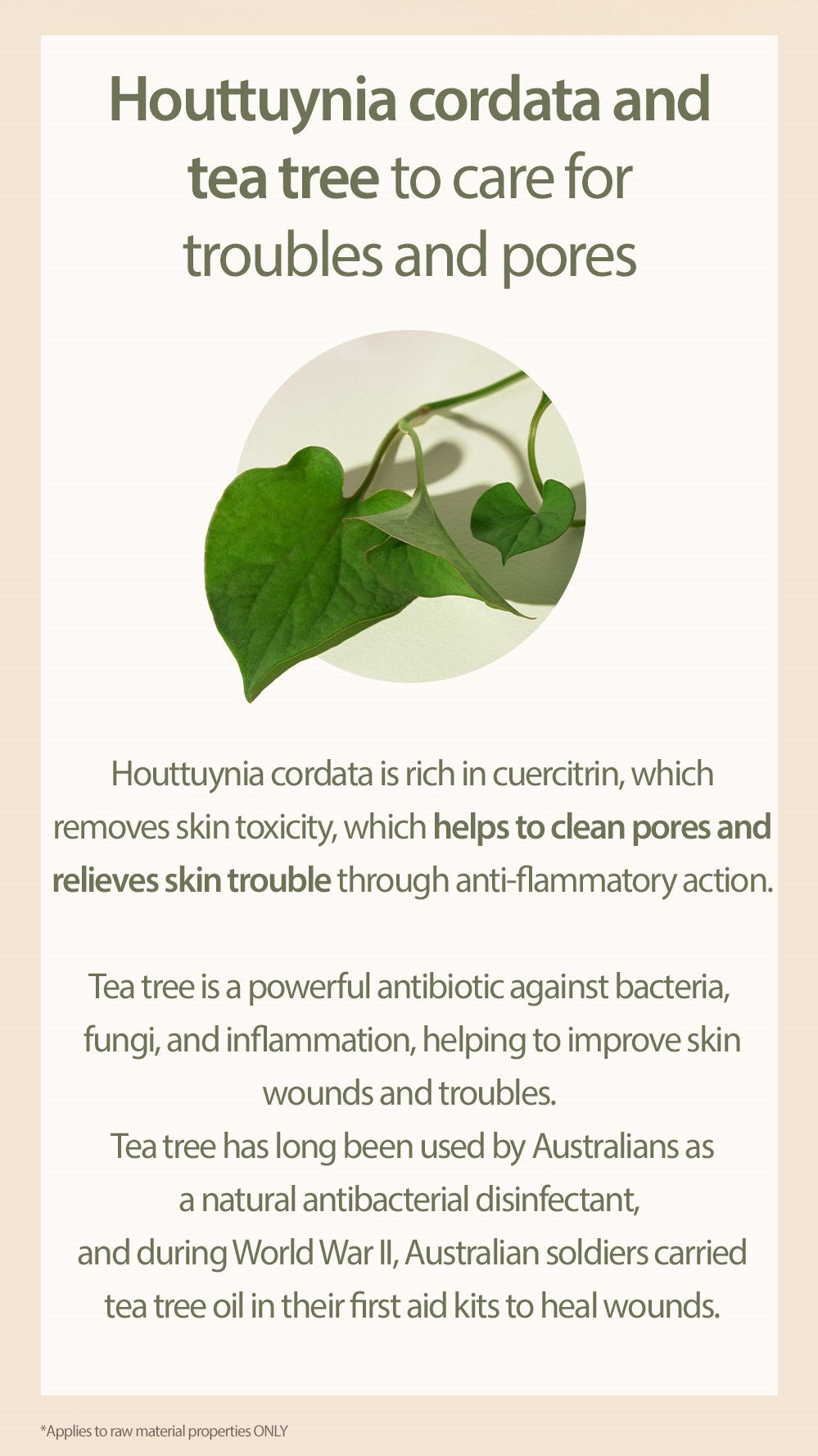1+1 Houttuynia Cordata + Tea Tree Cleansing Foam - 150ml
