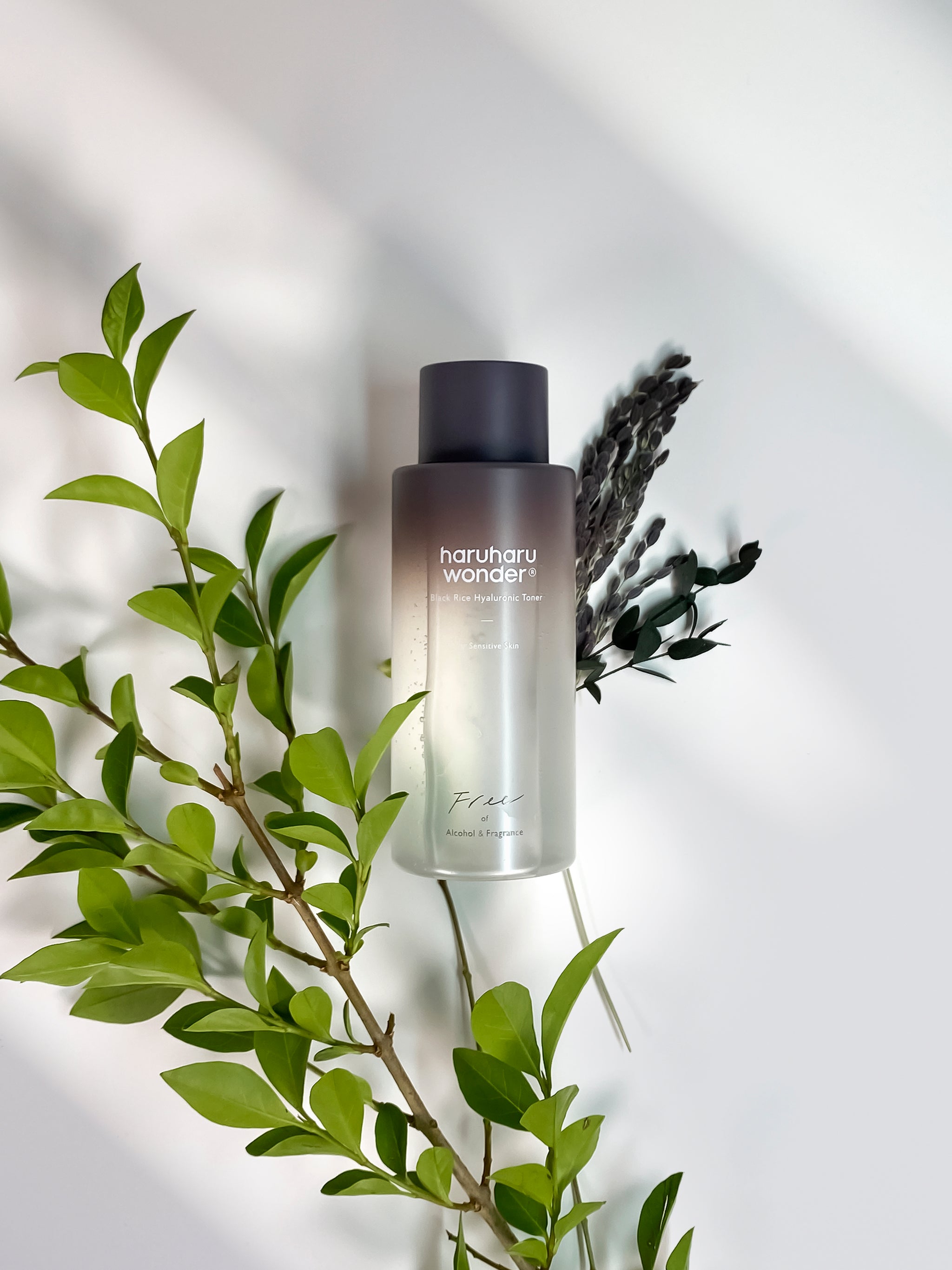 Black Rice Hyaluronic Toner for Sensitive Skin - 3Size