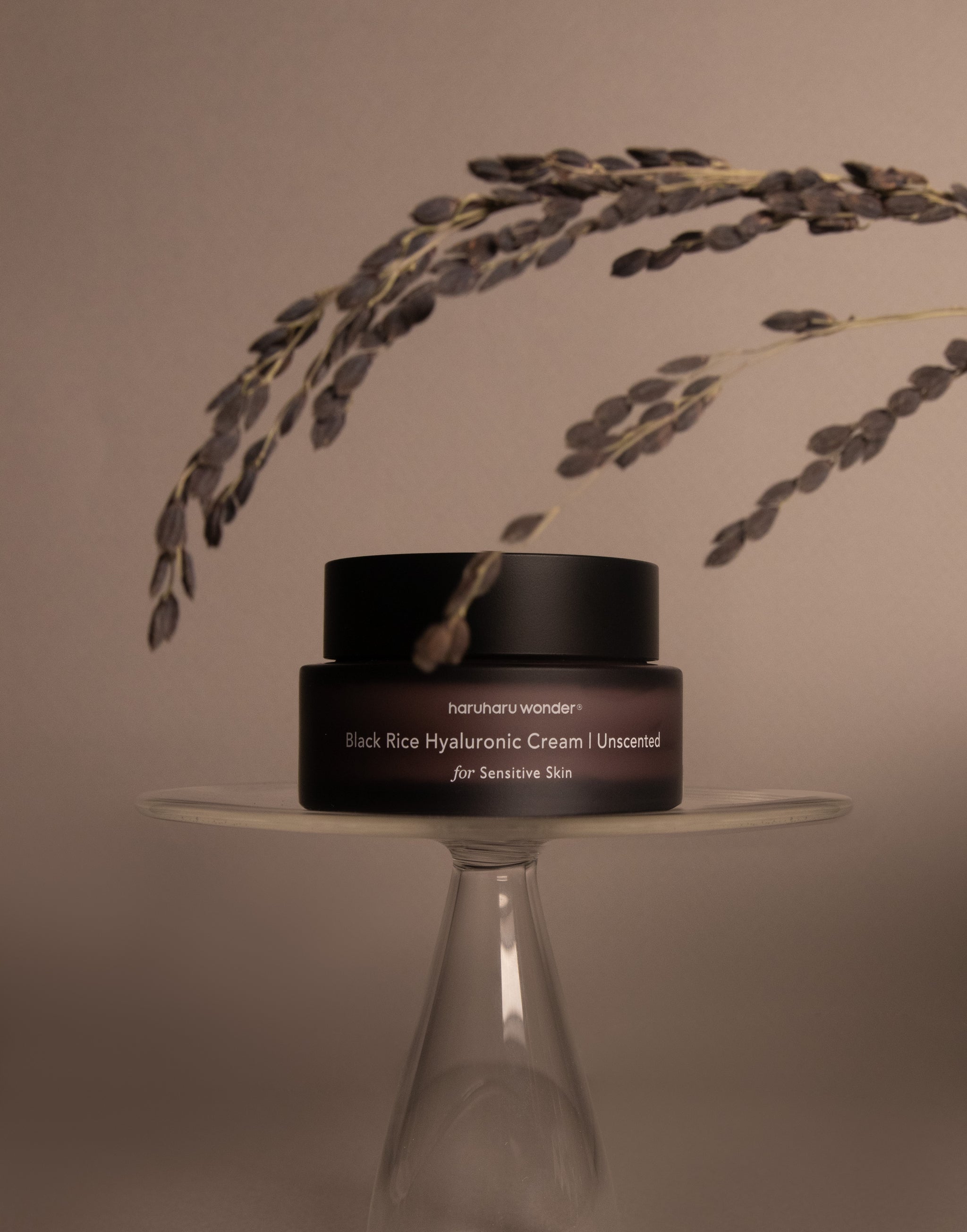 Black Rice 10 Hyaluronic Cream 50ml (Unscented)