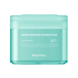 Madecassoside Blemish Pad 100ea