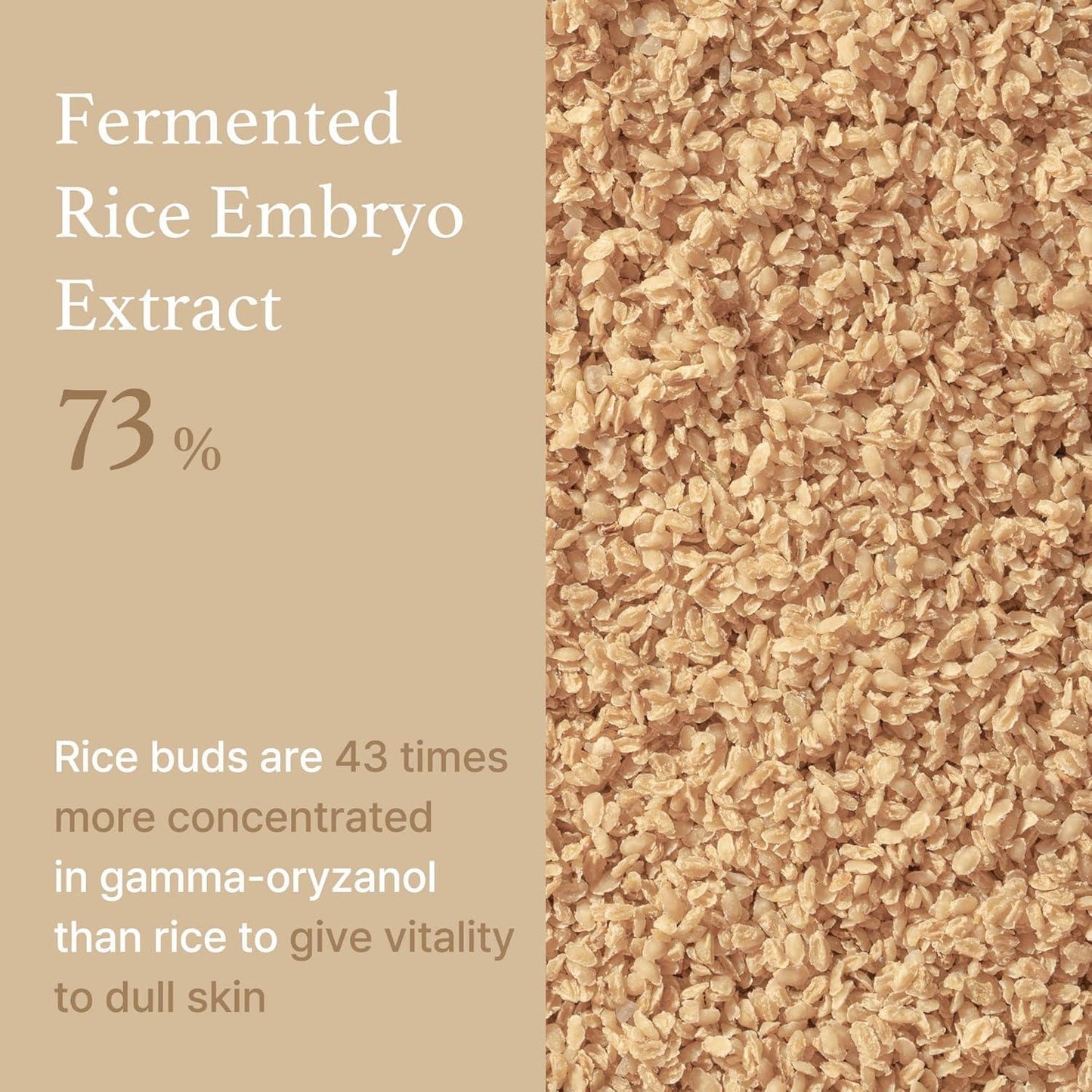 Rice Serum 30ml