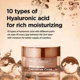 Bifida Biome Concentrate Cream 50ml