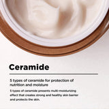 Bifida Biome Concentrate Cream 50ml