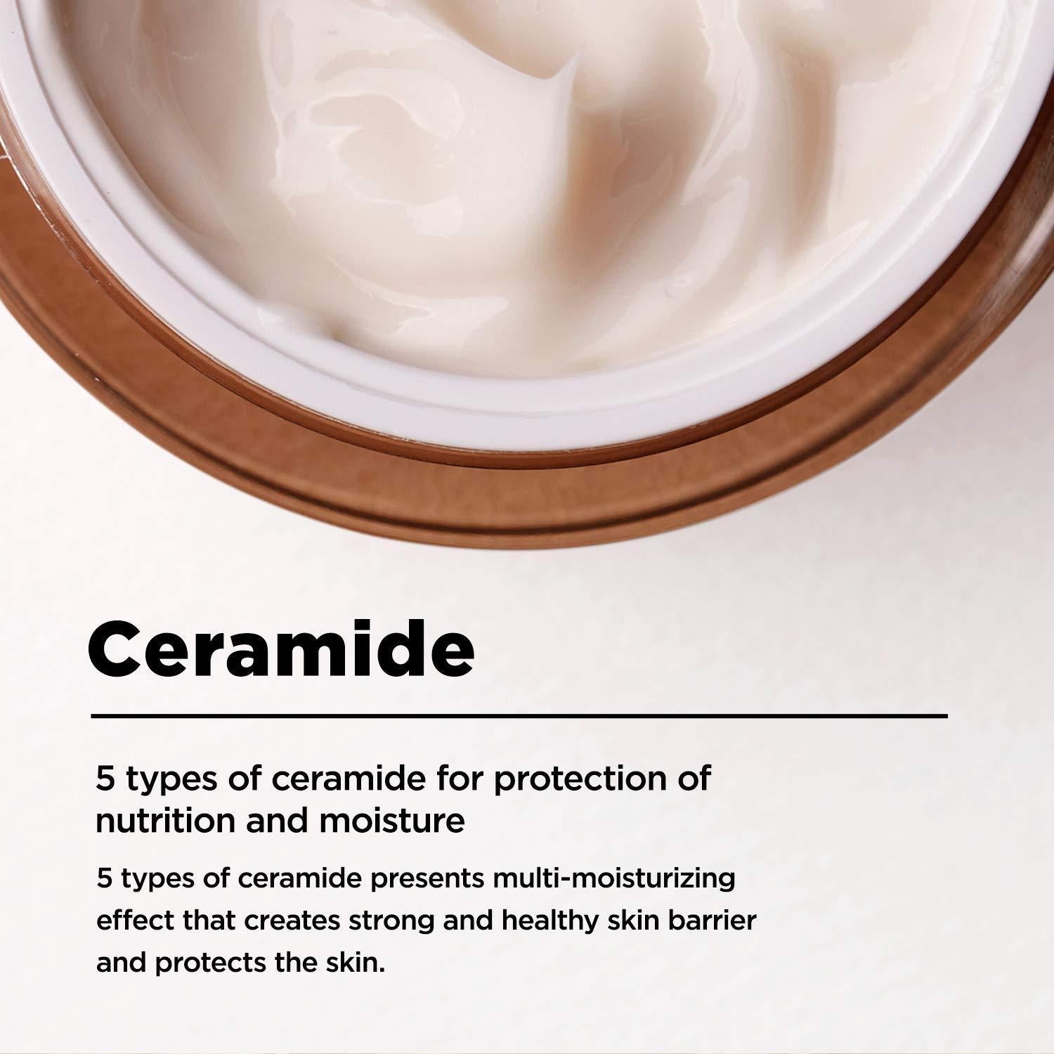 Bifida Biome Concentrate Cream 50ml