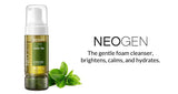 DERMALOGY REAL FRESH FOAM CLEANSER GREEN TEA 160G