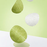 Madeca Real Green Pore Pad 60pcs