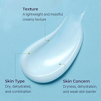 DIVE IN Low Molecular Hyaluronic Acid Cream 80ml