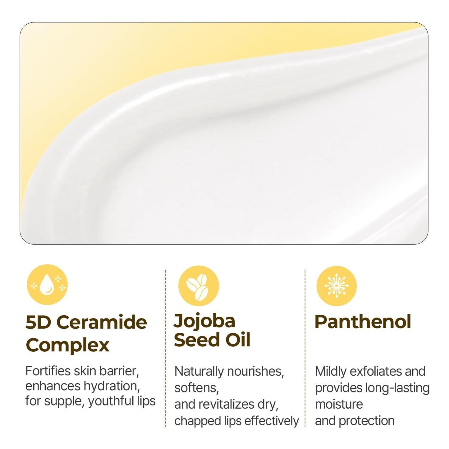 Solid In Ceramide Lip Essence 11ml