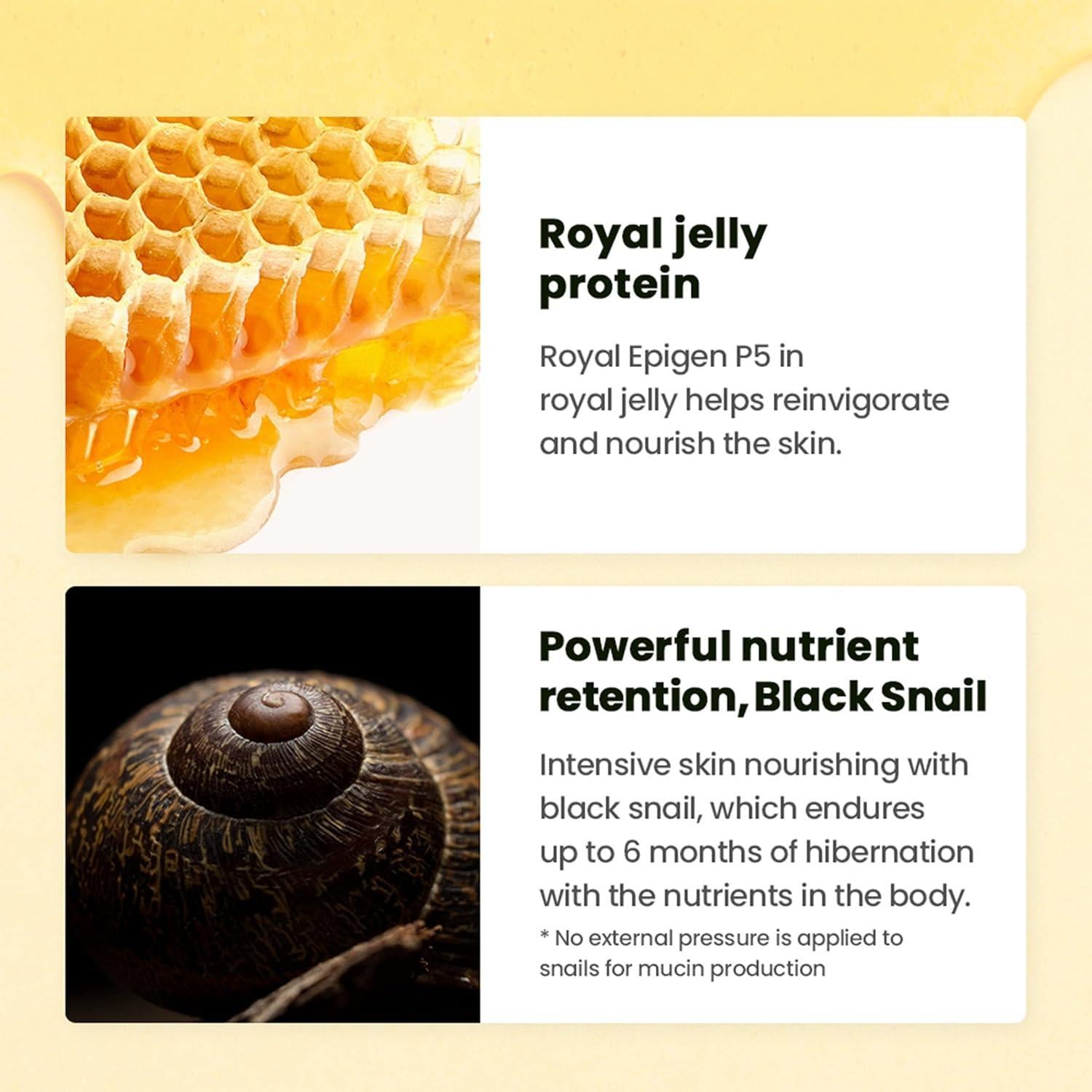 Royal Black Snail Ampoule 30ml