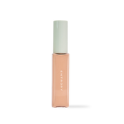 ORGANZA FIT SPATULA FOUNDATION #22.8