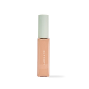 ORGANZA FIT SPATULA FOUNDATION #25.3