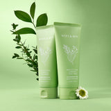 Houttuynia Cordata + Tea Tree Cleansing Foam - 150ml