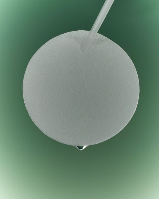 Green Flavonoid™ 2.5 Pad 120g (90p)
