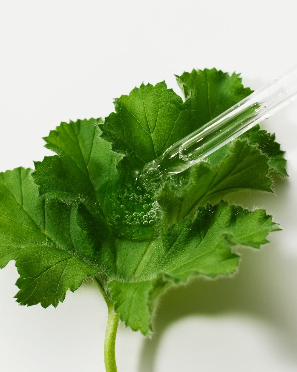 Green Flavonoid™ 5.0 Serum 30ml