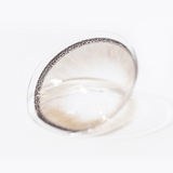 1 Day Colored Contact Lens - Milky Tan 0.00 (10 pcs)